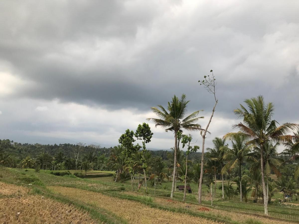 Muni'S Terrace Bungalow Kotaraja Luaran gambar