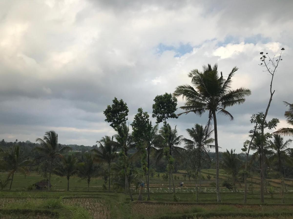 Muni'S Terrace Bungalow Kotaraja Luaran gambar