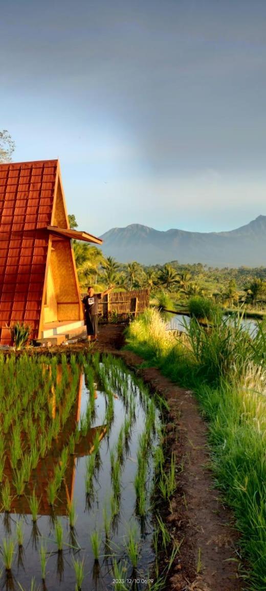 Muni'S Terrace Bungalow Kotaraja Luaran gambar