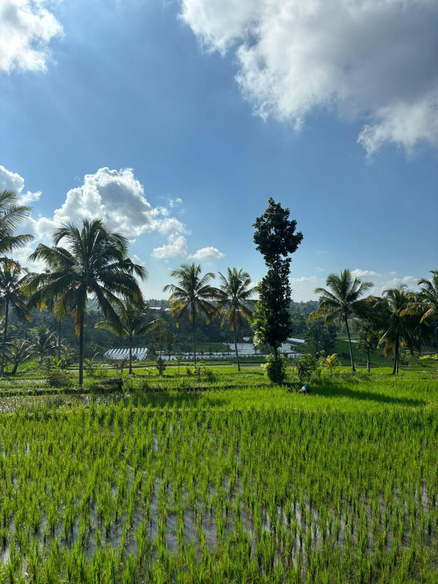 Muni'S Terrace Bungalow Kotaraja Luaran gambar