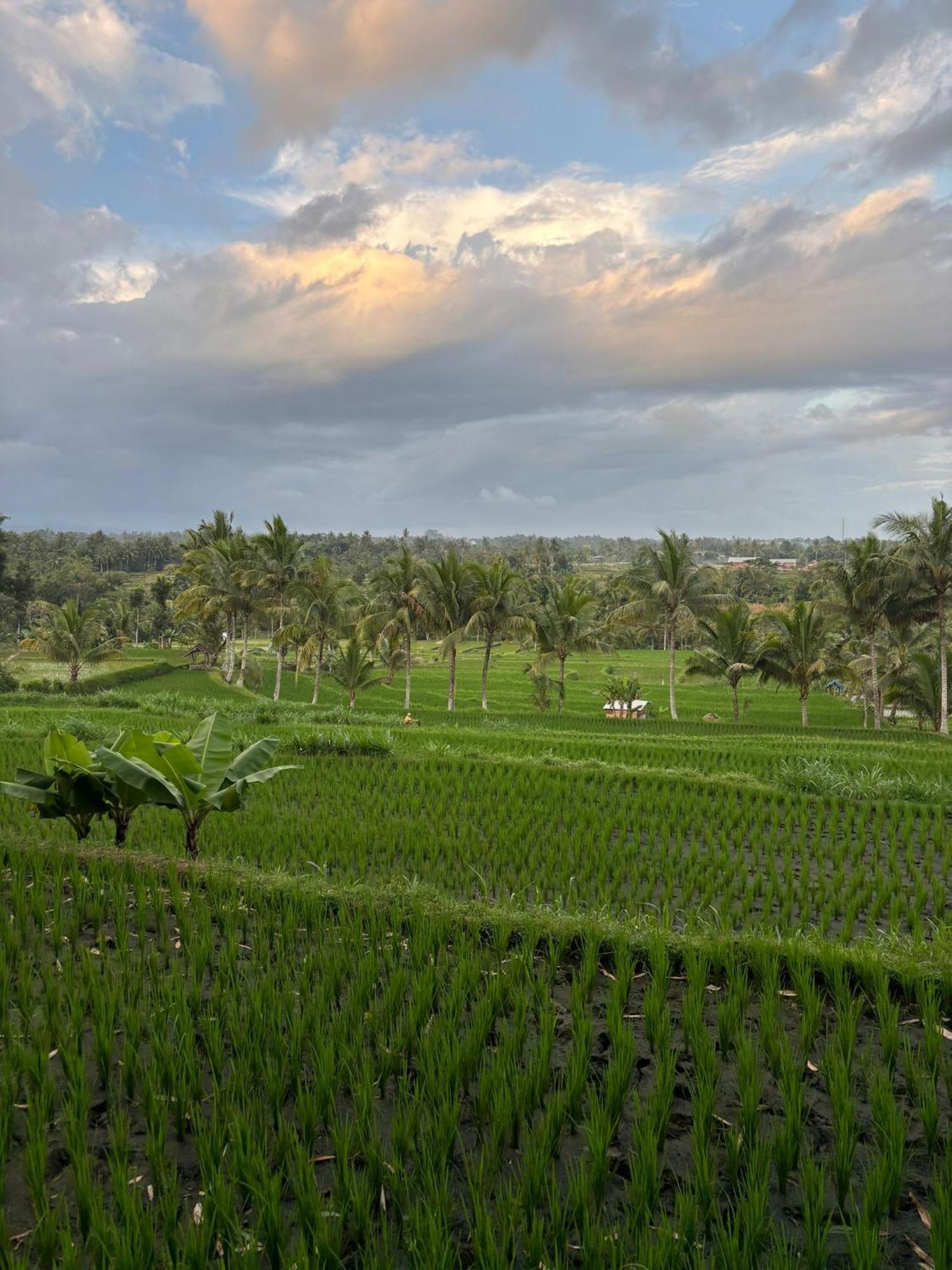 Muni'S Terrace Bungalow Kotaraja Luaran gambar