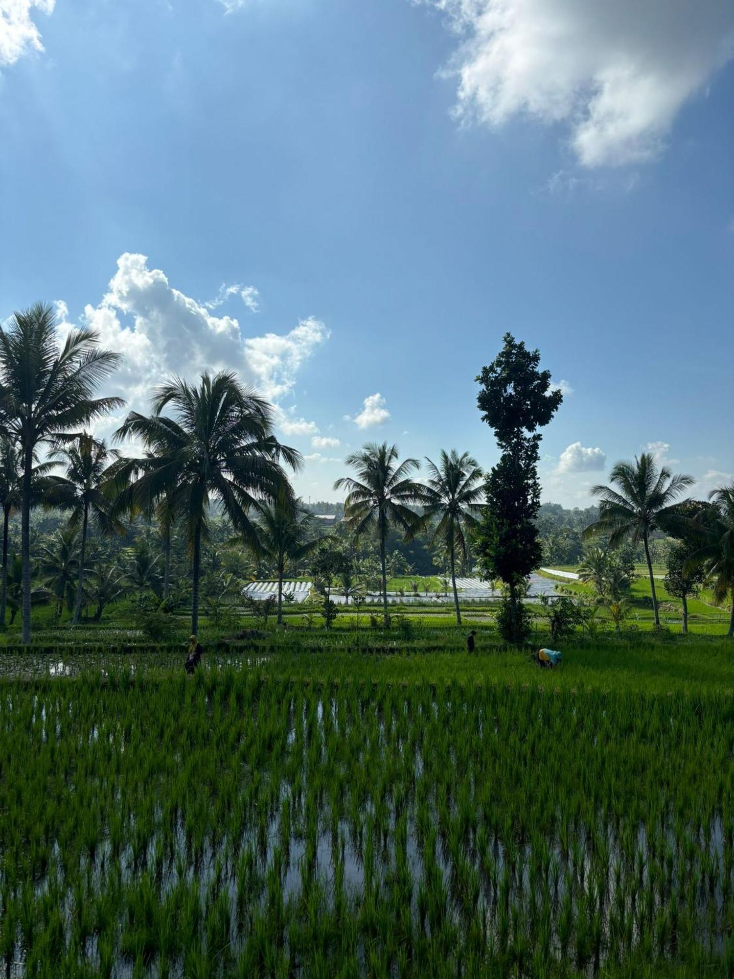 Muni'S Terrace Bungalow Kotaraja Luaran gambar