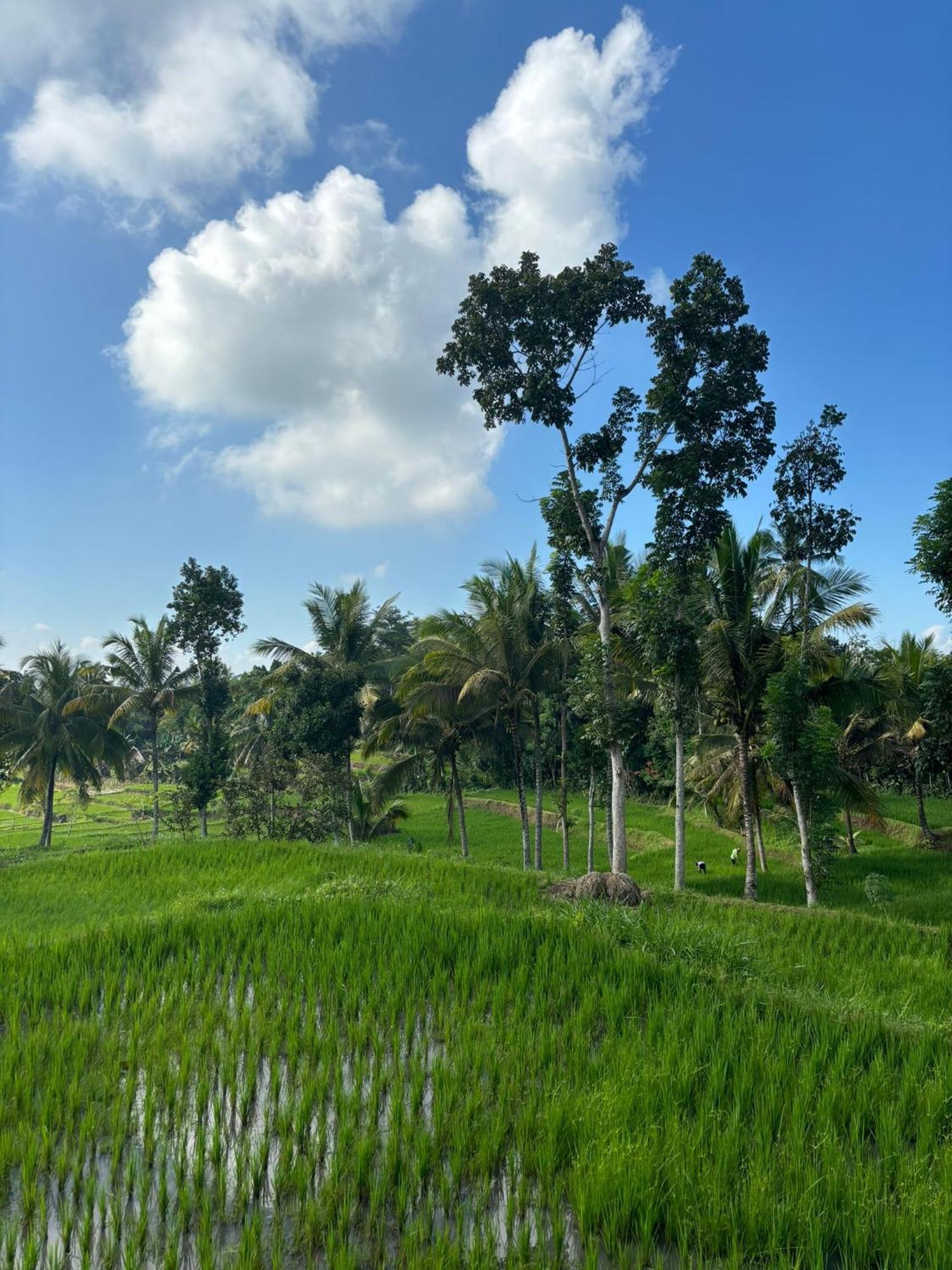 Muni'S Terrace Bungalow Kotaraja Luaran gambar