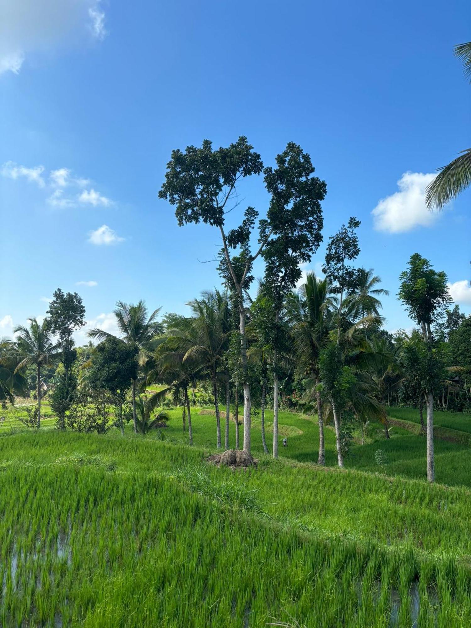 Muni'S Terrace Bungalow Kotaraja Luaran gambar