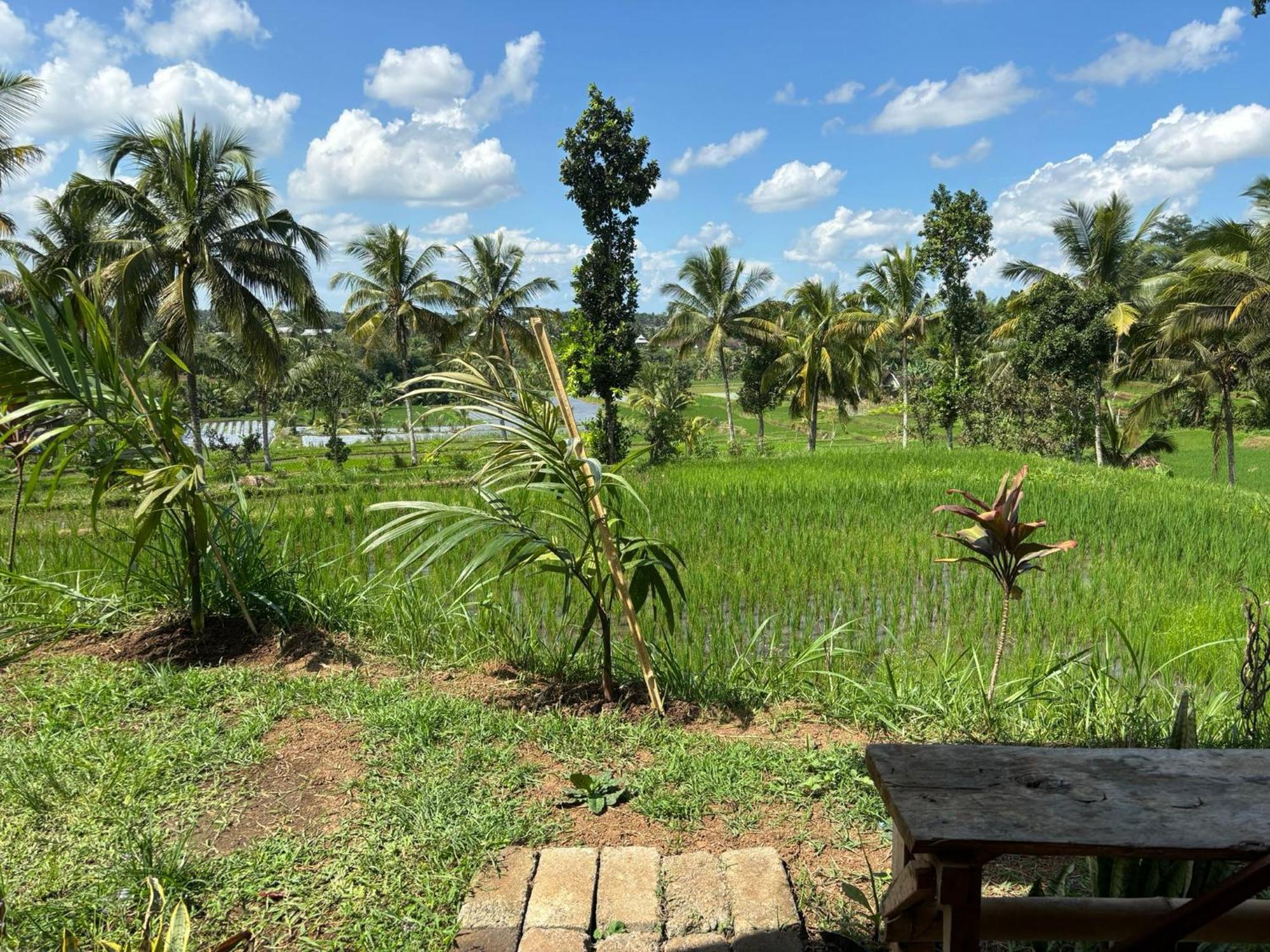 Muni'S Terrace Bungalow Kotaraja Luaran gambar